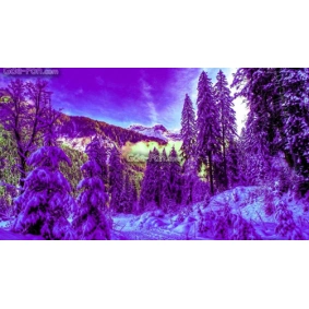 Алмазная мозаика "Фиолетовый снег", 30*40см, на подрамнике
, в кор. 41*31*2,5см