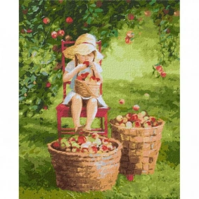 Картина по номерам "Яблочки" 40*50см, в термопакете, ТМ Идейка, Украина