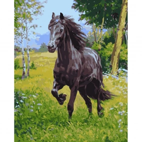 Картина по номерам "Вороная лошадь", в термопакете 40х50cм, ТМ Стратег, Украина