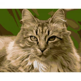 Картина по номерам "Гордая кошка", в термопакете 40х50cм, ТМ Стратег, Украина