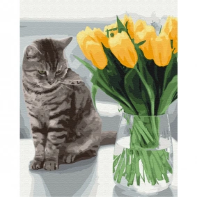 Картина за номерами: Котик з тюльпанами 40*50
