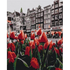 Картина за номерами: Тюльпани Амстердаму 40*50